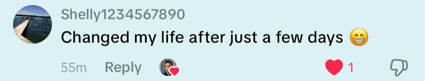 A public TikTok comment describing this person's experience with the B1 and magnesium core